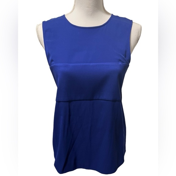T By Alexander Wang Open Back Sleeveless Silk Blouse Adjustable Straps Blue Sz 6 - Picture 1 of 14